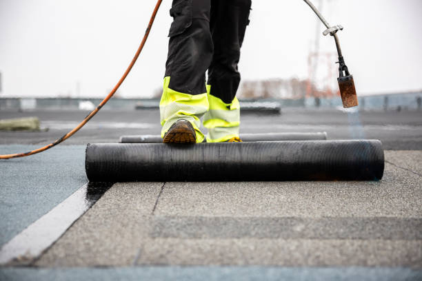 Best Roof Coating and Sealing  in Antwerp, OH